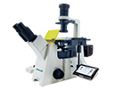 倒置荧光显微镜 MF53-N