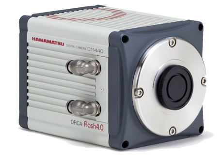 sCMOS 高灵敏度相机 ORCA-Flash4.0