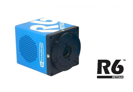科学CCD相机 Retiga R6